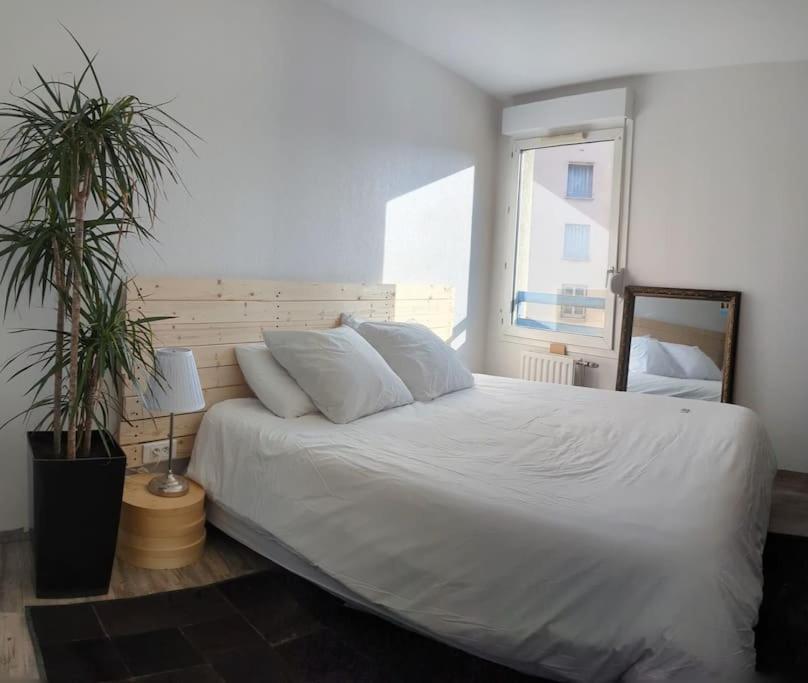 Le Cosy-Chic - T3 Balneo A Villeurbanne / Lyon Esterno foto